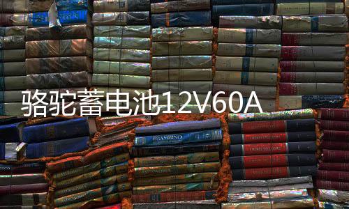 骆驼蓄电池12V60AH适用于全球鹰哈佛H6皇冠锐志奇瑞55D26汽车电瓶